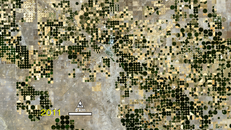 Illustration for article titled Forty Years Ago, America's Farms Completely Changed Their Shape—And No One Noticed